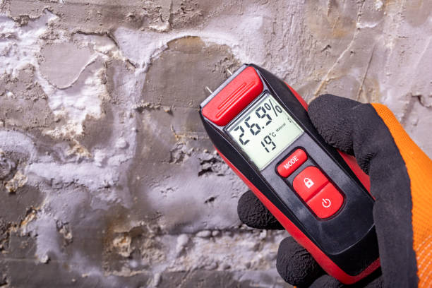 Best Water Damage Restoration  in Riverton, NJ